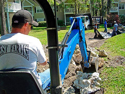 Landscape Services, Gainesville, FL