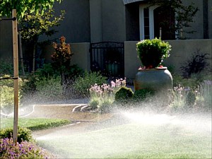 Irrigation & Interiorscape